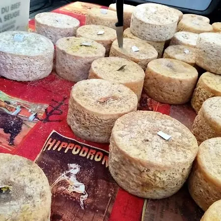 Maison Centre De Avec Terrasse Et Terrain * Saugues